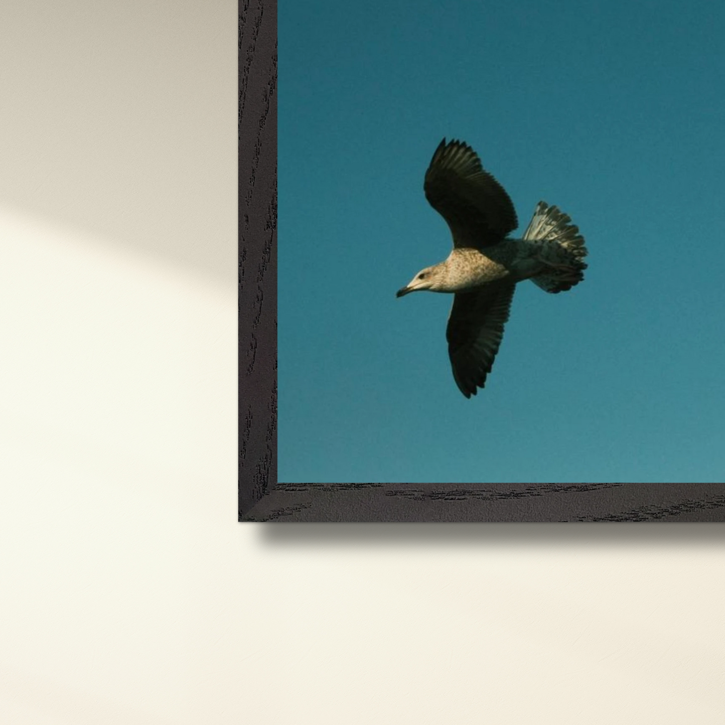 GULL Framed Print in A3 + A2