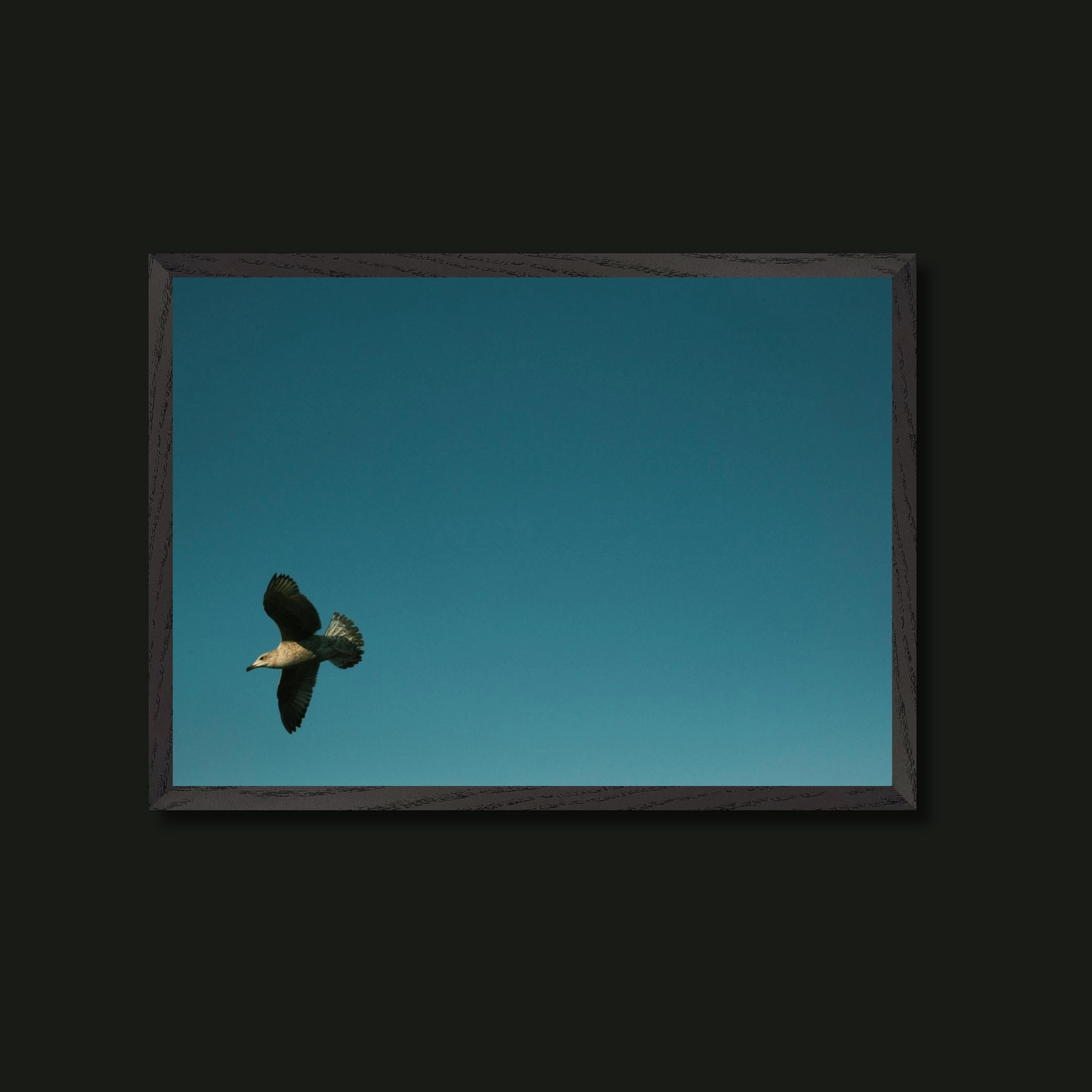GULL Framed Print in A3 + A2